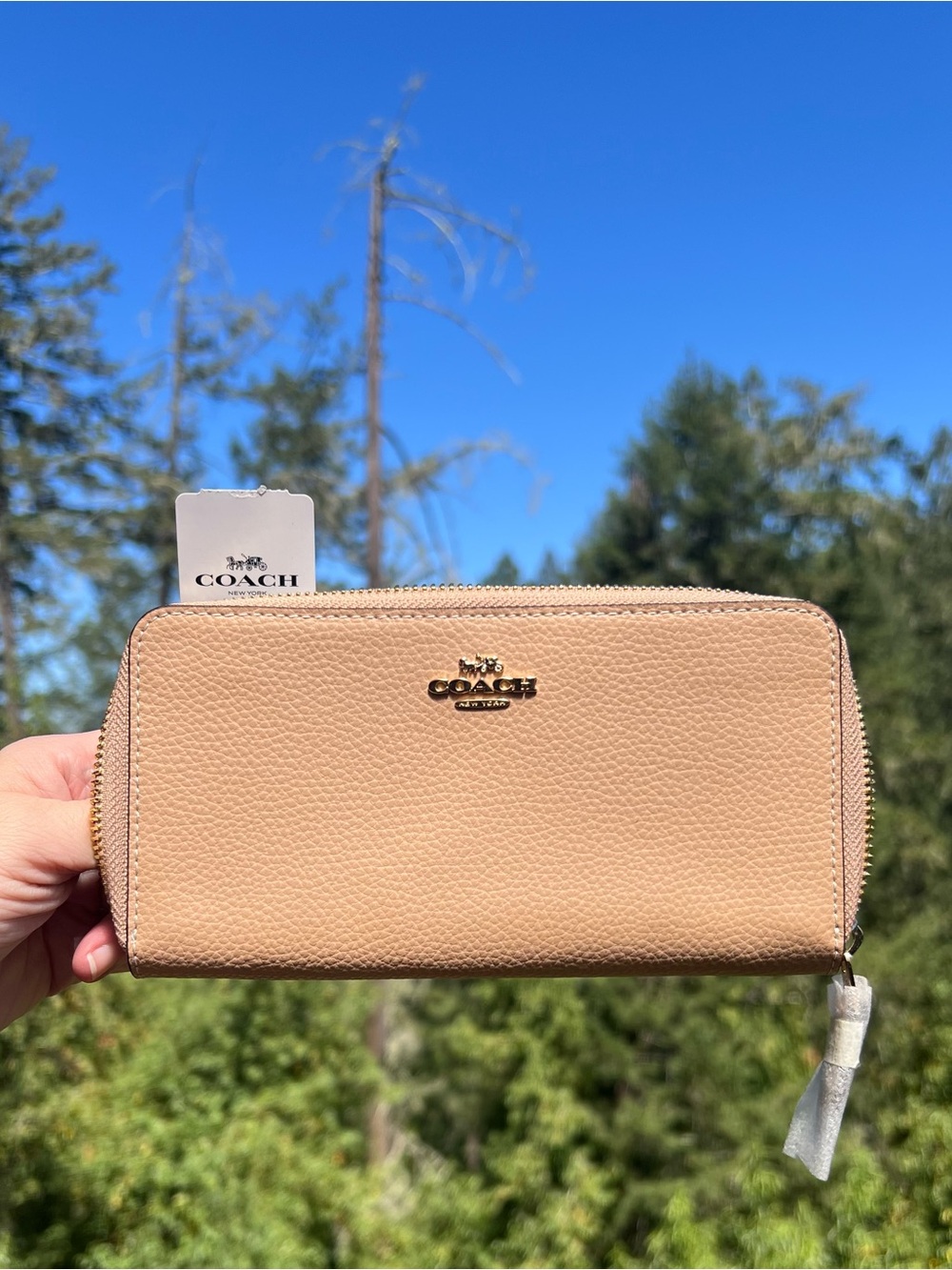 COACH Long Zip-Around Beige Pebble Leather Wallet Gold Hardware AUTHENTIC